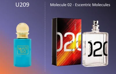 Духи U209 по мотивам Molecule 02 Escentric Molecules